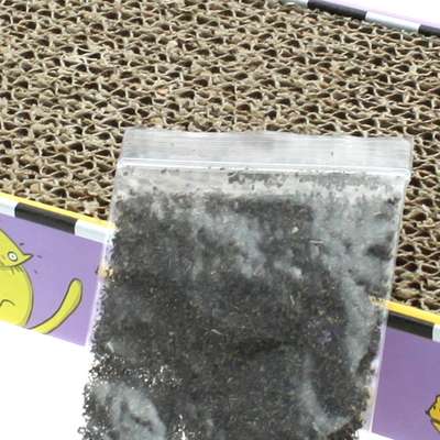 Brinquedo Arranhador Jambo Cat Scratcher com Catnip - Grande