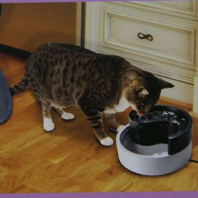 Fonte Bebedouro Pioneer Pet Feng Shui Smart Cat 110V - 1,7 Litros