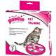 Brinquedo Pawise Interativo pra Gatos