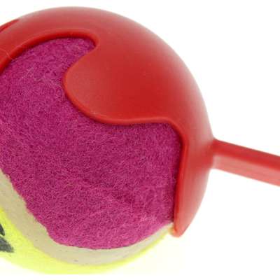 Bola de Tênis com Arremessador Lanceball American Pets