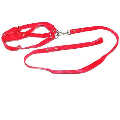 Conjunto Guia de Seda com Peitoral Vermelho - Mini