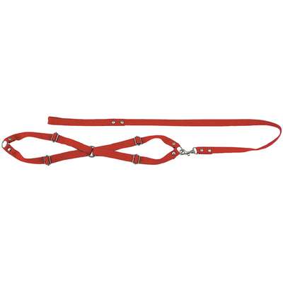 Conjunto Guia de Seda com Peitoral Vermelho - Médio