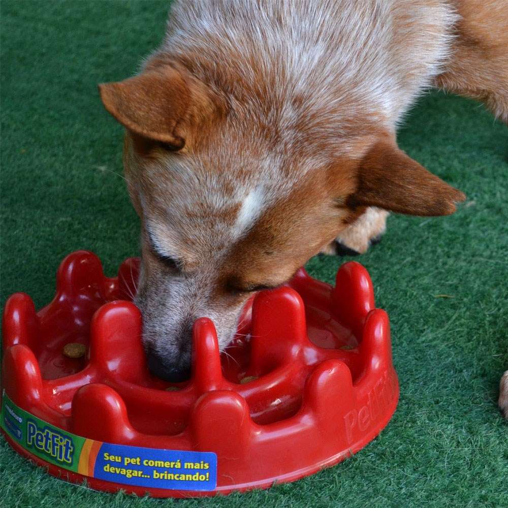 Comedouro Interativo Pet Games PetFit Vermelho - Tam. Único