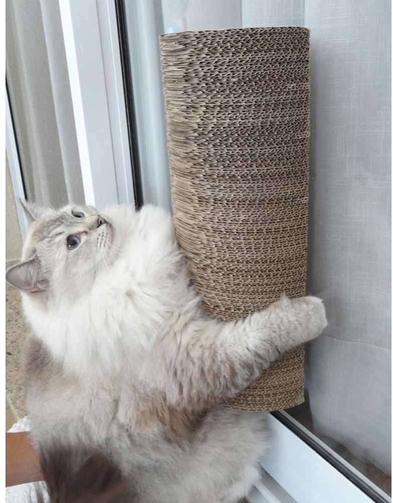 Brinquedo Arranhador Pet Games Arranha Tronco