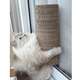 Brinquedo Arranhador Pet  Games Arranha Tronco