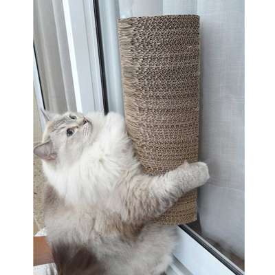 Brinquedo Arranhador Pet  Games Arranha Tronco