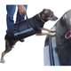 Bolsa Keep Pet Suspensor - Pequeno