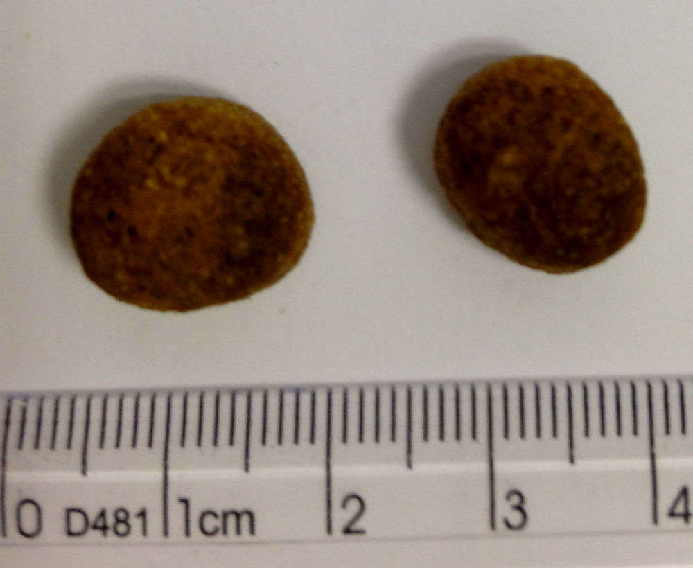 Ração Seca PremieR Pet Golden Power Training Cães Filhotes Frango e Arroz - 15Kg