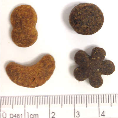 Ração Premier Golden DUO Cães Adultos Salmão com Ervas e Cordeiro e Arroz