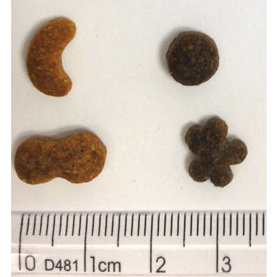 Ração Premier Golden DUO Cães Adultos Mini Bits Salmão com Ervas e Cordeiro e Arroz