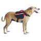 Mochila Galileos Club Tracking Pet - Vermelho