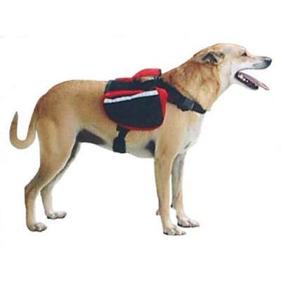 Mochila Galileos Club Tracking Pet - Vermelho