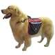 Mochila Galileos Club Tracking Pet - Vermelho