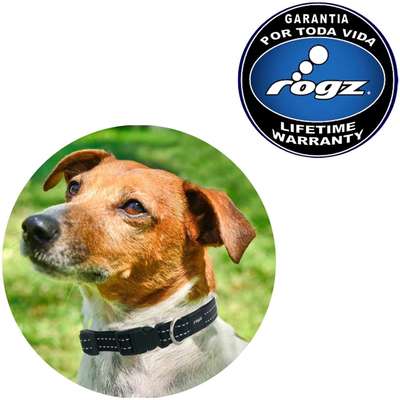 Colar Rogz Utility - Preto