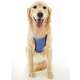 Coleira Peitoral Tubline com Guia Pet Walk - Azul