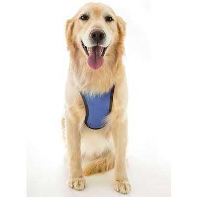Coleira Peitoral Tubline com Guia Pet Walk - Azul