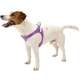 Peitoral Ferplast Ergoflex - Roxo