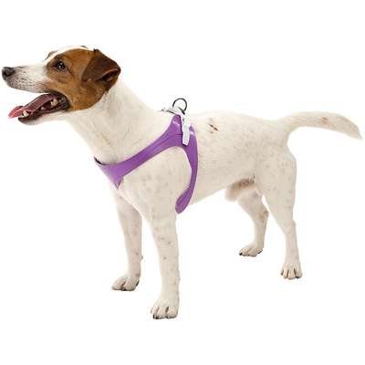 Peitoral Ferplast Ergoflex - Roxo