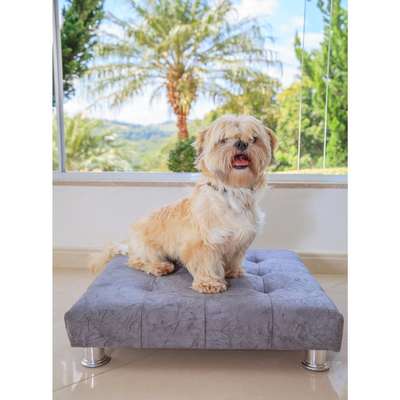 Cama ModernPet Couch