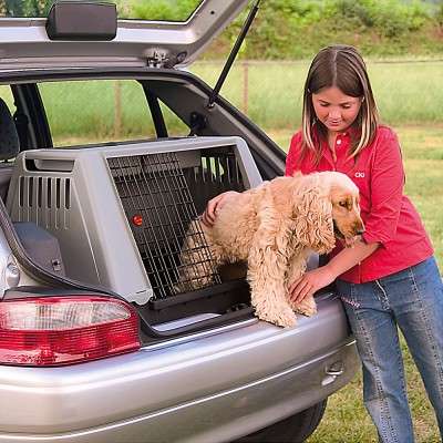 Caixa de Transporte Ferplast Atlas Car para Carros - Cinza