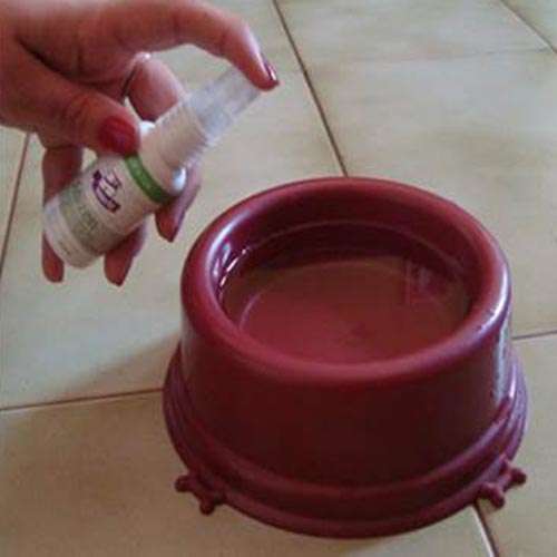 Sistema de Terapia Homeopet Cicatrização Ósseo - 30 mL