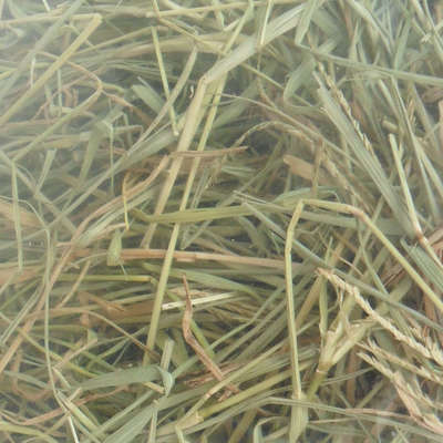 Feno in Natura