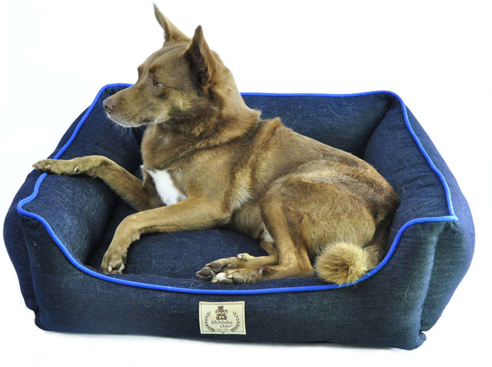 Cama Bichinho Chic Índigo Azul - Tam. P