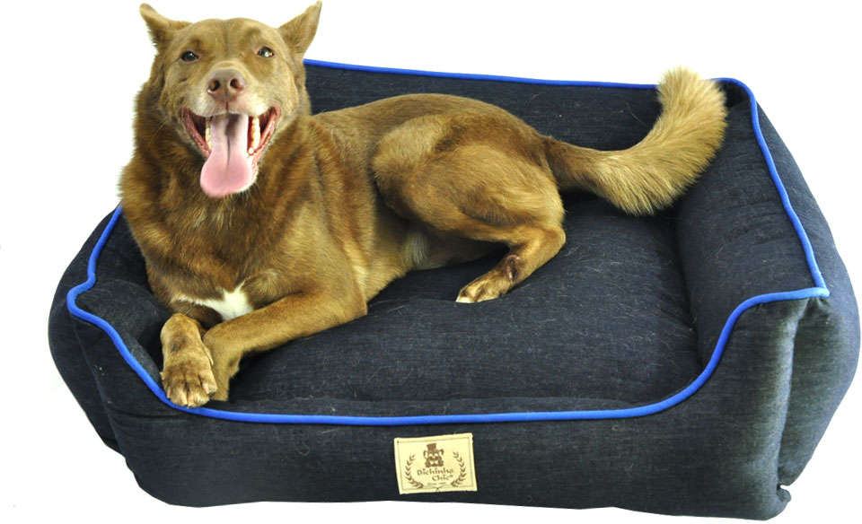 Cama Bichinho Chic Índigo Azul - Tam. P