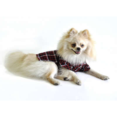 Camisa Xadrez Bichinho Chic - Vermelho