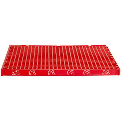 Sanitário Pipi Dollys Baby para Cães Filhotes - Vermelho