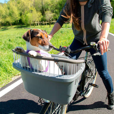 Cesta de Transporte Ferplast Atlas Bike Rapid para Bicicletas