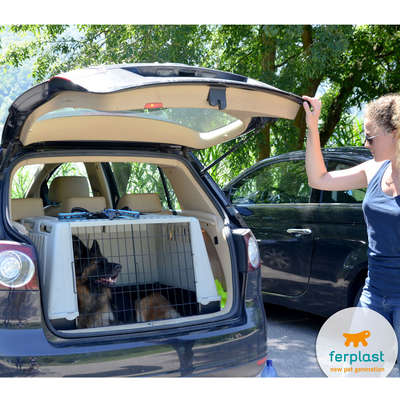 Caixa de Transporte Ferplast Atlas Car para Carros - Cinza