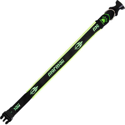 Coleira Mormaii Neoprene Regulável Verde para Cães