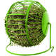 Alimentador Pawise Roda para Feno para Roedores - Verde