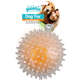 Brinquedo Pawise Bola Piscante Flash Ball Laranja para Cães