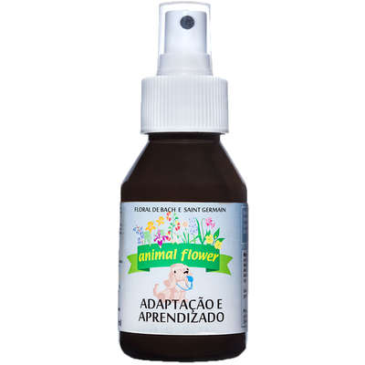 Floral Animal Flower Spray Adaptação e Aprendizado