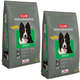 Ração Royal Canin Club Performance para Cães Adultos