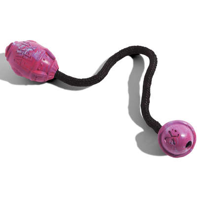 Brinquedo Alien Flex Cápsula para Cães