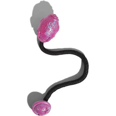 Brinquedo Alien Flex Cápsula para Cães