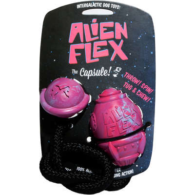 Brinquedo Alien Flex Cápsula para Cães