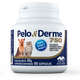 Suplemento Vetnil Pelo & Derme 750