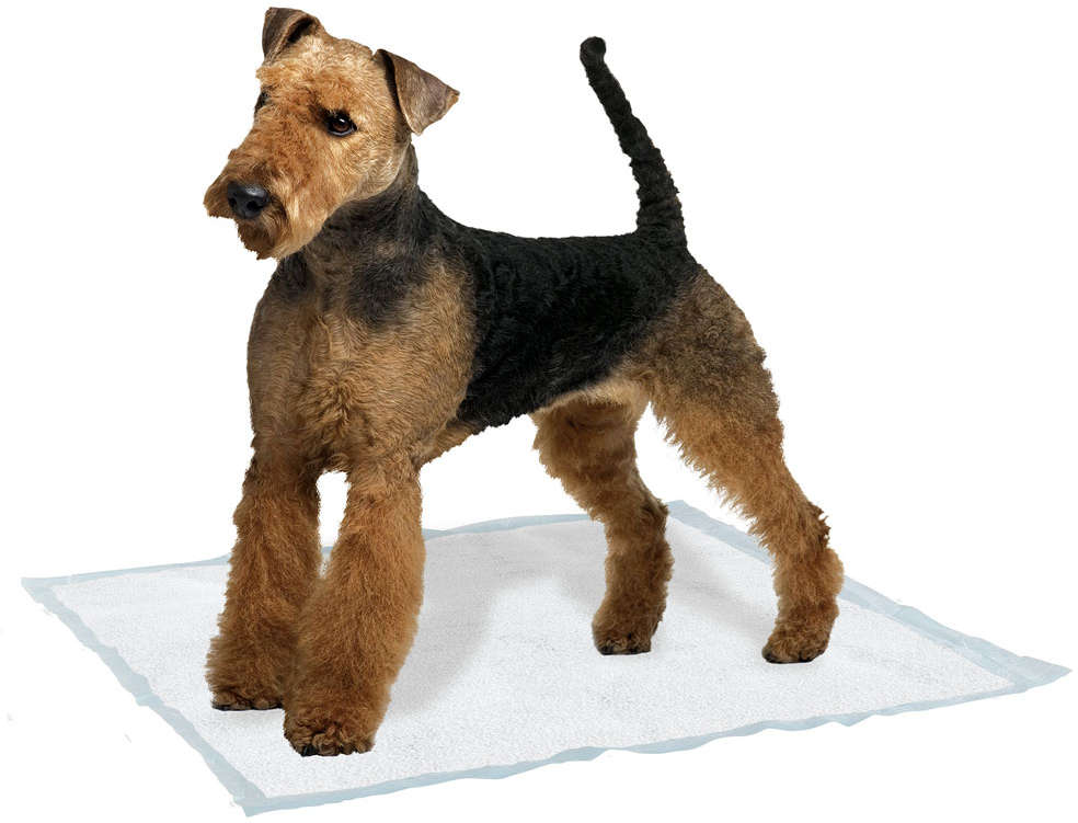 Tapete Higiênico com Fita Adesiva Genico Ferplast 10 Unidades - Tam. G