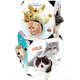 Brinquedo Furacão Pet Cat Box