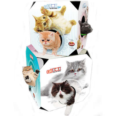Brinquedo Furacão Pet Cat Box