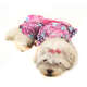 Vestido Pikorruchos Florata Tigresse para Cães