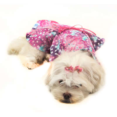 Vestido Pikorruchos Florata Tigresse para Cães