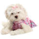 Vestido Pikorruchos Florata Tigresse para Cães
