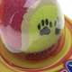 Brinquedo American Pets Bola de Tênis com Clip Playball Vermelho