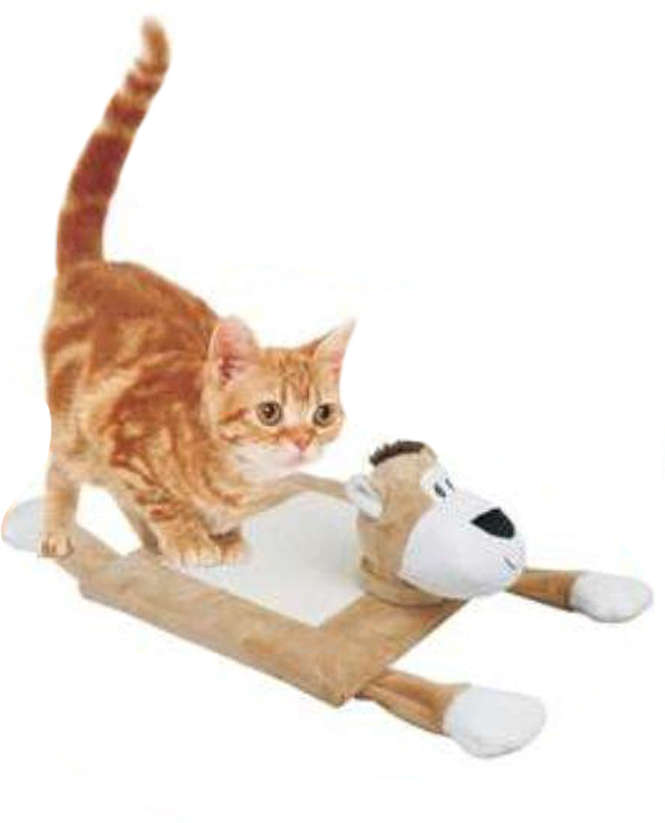Brinquedo Arranhador de Gato 3 em 1 - Tam. Único