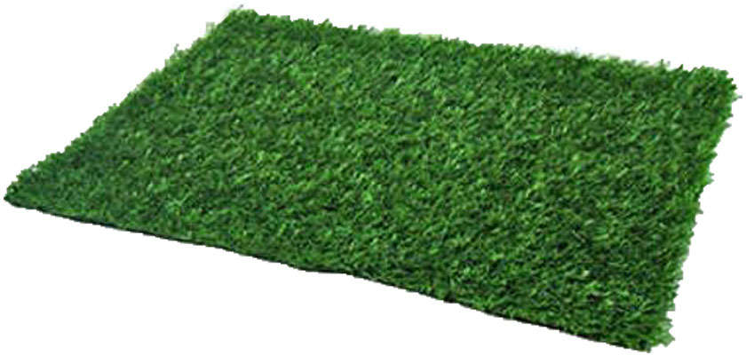 Refil de Graminha para Sanitário Higiênico Pet Injet Xixi Green Premium - Tam. Único
